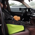 Pet outside car seat